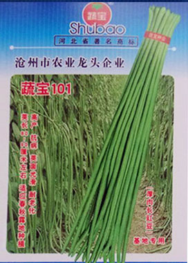 豇豆種子